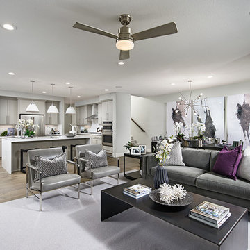 Erickson II model home | Hayward, California