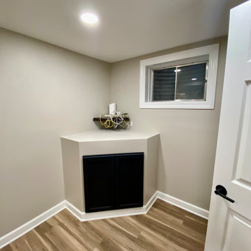 Modern Basement Remodel