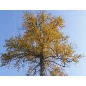 Danielle Gaudet's photo