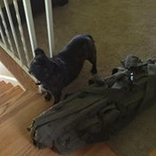 Brandon Choyce's photo