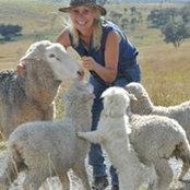 Julie McLeod's photo
