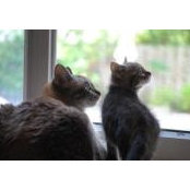 Teresa Verges's photo