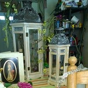 Lori Morin's photo