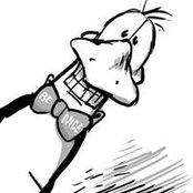 David Stefancic's photo