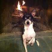 Bambi Everitt's photo