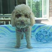 Mareline Staub's photo