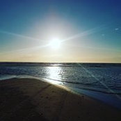 Foto von Tracy Whitehead