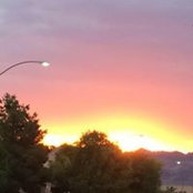 Cynthia Bailey's photo