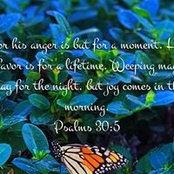 Luma Mulcahy's photo