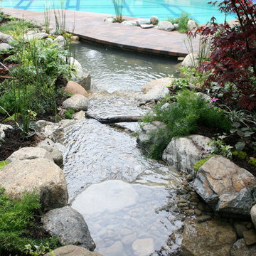 Pool and Pond Duo