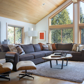 Tahoe Contemporary