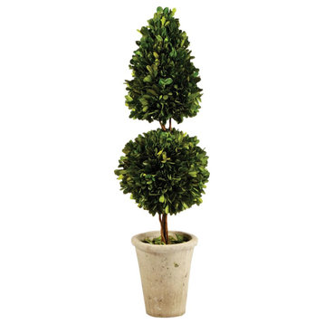 Elegant Double Stacked Shapes Topiary Pot English Boxwood 25 in Classic Greenery