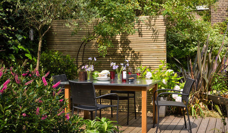 How to Create Different Zones in Your Garden
