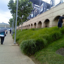 Slope Bank Landscaping