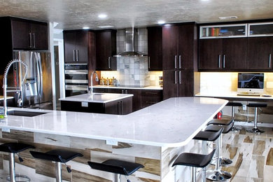 Inspiration for a contemporary kitchen remodel in Tampa