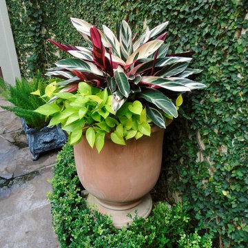 Outdoor Art Gallery, Garden and Living Space