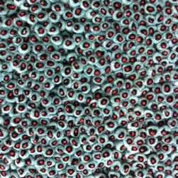 Three Ring Custom Wool Rug / Carpet - Rugs