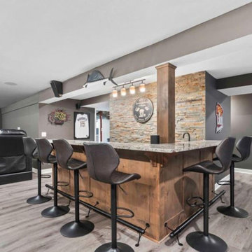 Basement/Theater Remodel