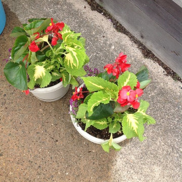 Container Gardens