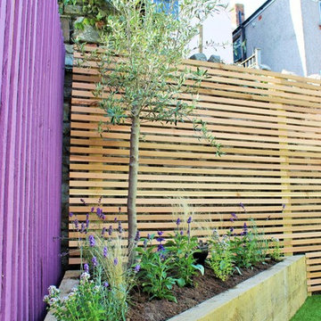 Urban City Garden