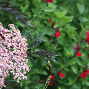 Dramatic Hillside Garden