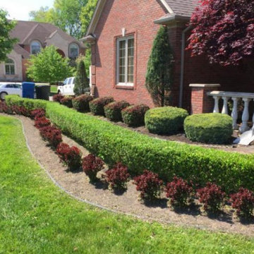 West Bloomfield Tree Service & Removal