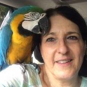 Gladys Rotlewicz's photo