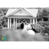 Emily Turner's photo