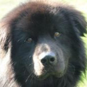JoAnne Cutting's photo