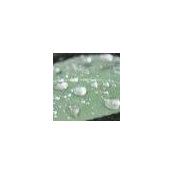 Jule Eplin's photo