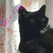Laurie Bean Sherman's photo