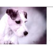 Carol Howton's photo