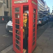 Christina Lloyd-Williams's photo