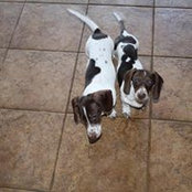 Nancy Burford's photo