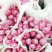 Foto von Misty Bloom Florist