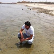 حمادة السيد's photo