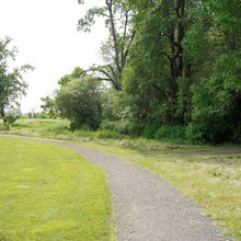 Madison Landscape