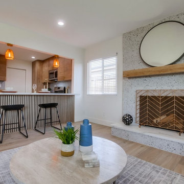2023 Santee remodel