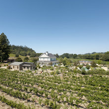 Napa