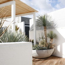 Garten-Neuheiten: Vertikale Pflanzkästen & Lounge-Feeling