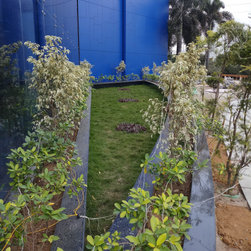 DELL INTERNATIONAL - Plants