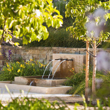 Water Feature