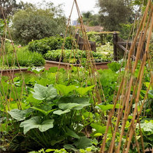 Farm Garden