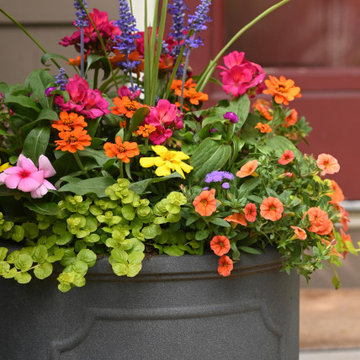 Summer Containers