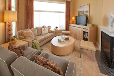 Trendy living room photo in Toronto