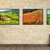 Sonoma Wine Country Landscape Photo Print on Canvas with Picture Frame, 28"x37"