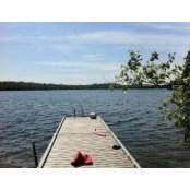 Carol McLeod's photo