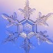 Gina Maria's photo