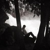 Amanda Shaw's photo