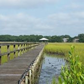 Sandi McLauchlin's photo